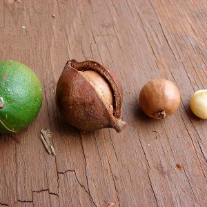 Nueces de Macadamia